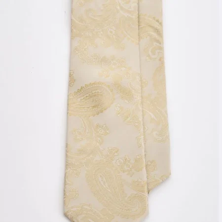 Champagne Paisley Tie Set with Tie  Bar & Cufflinks