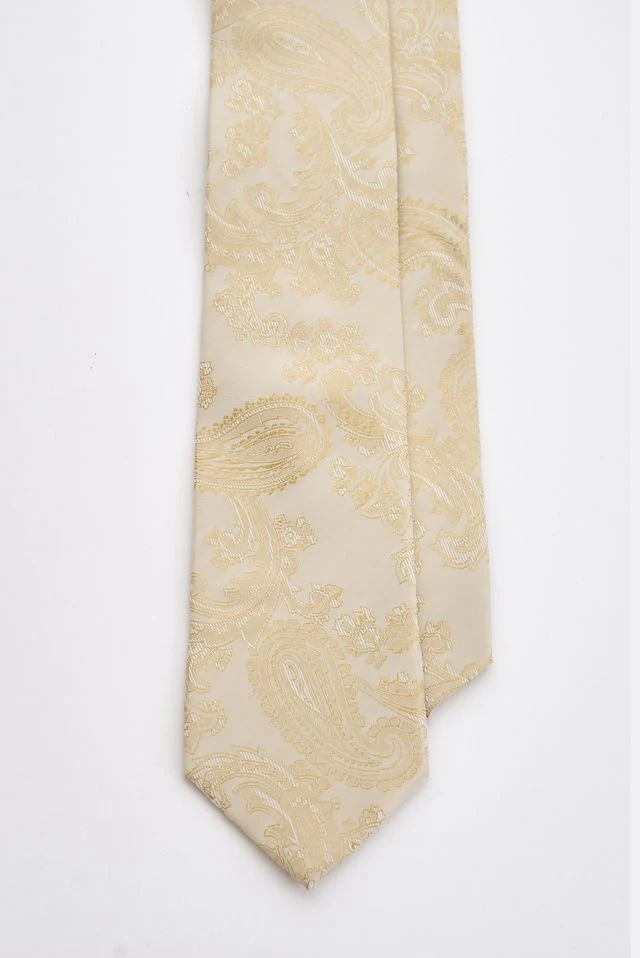 Champagne Paisley Tie Set with Tie  Bar & Cufflinks